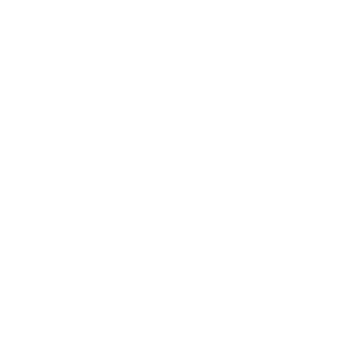 Professional Appearance Icon